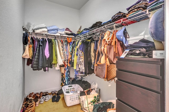 spacious closet featuring carpet flooring