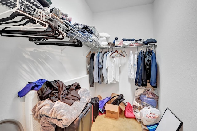 spacious closet featuring carpet floors