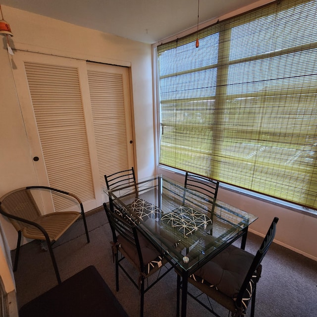 carpeted dining space featuring a wealth of natural light