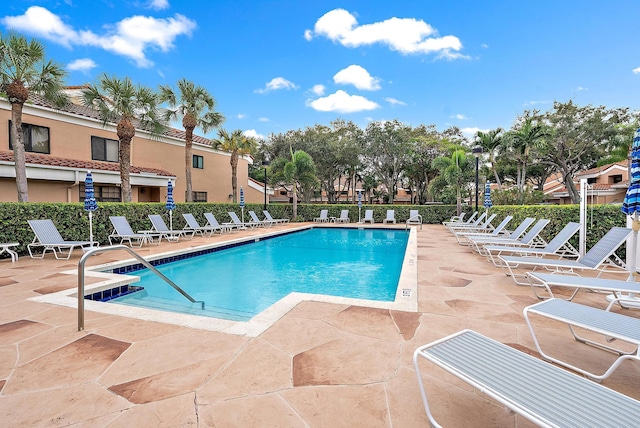 view of swimming pool featuring a patio