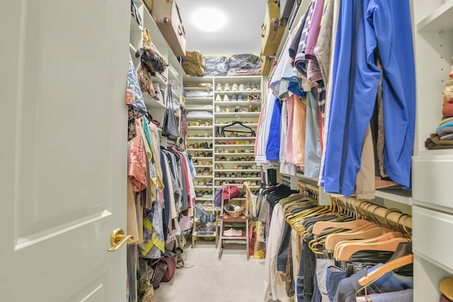 spacious closet featuring carpet