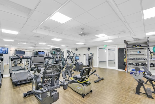 gym featuring ceiling fan, hardwood / wood-style floors, and a drop ceiling