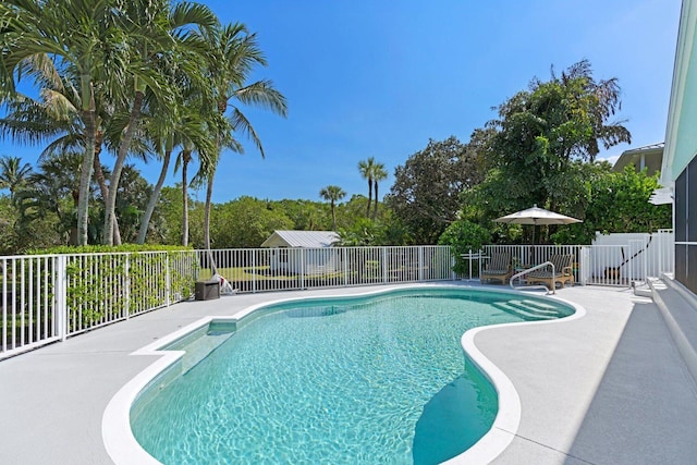 view of swimming pool with a patio area