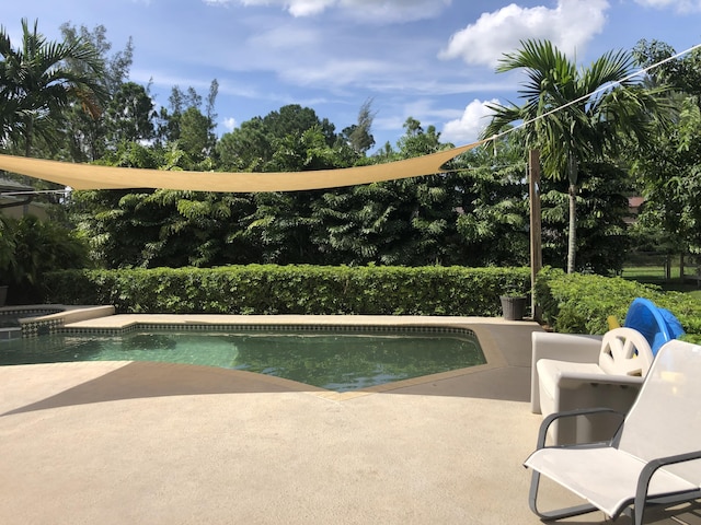 view of swimming pool with a patio area