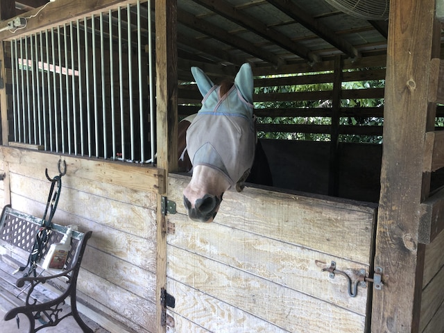 view of stable