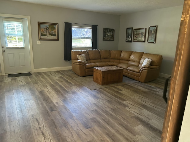 living room featuring a wealth of natural light and wood-type flooring