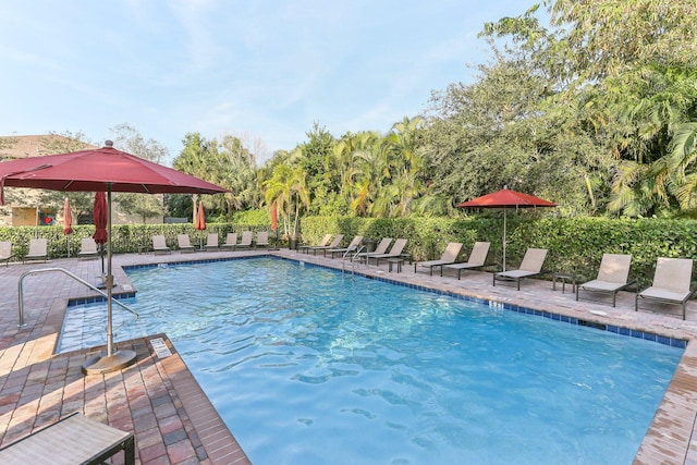 view of pool featuring a patio area