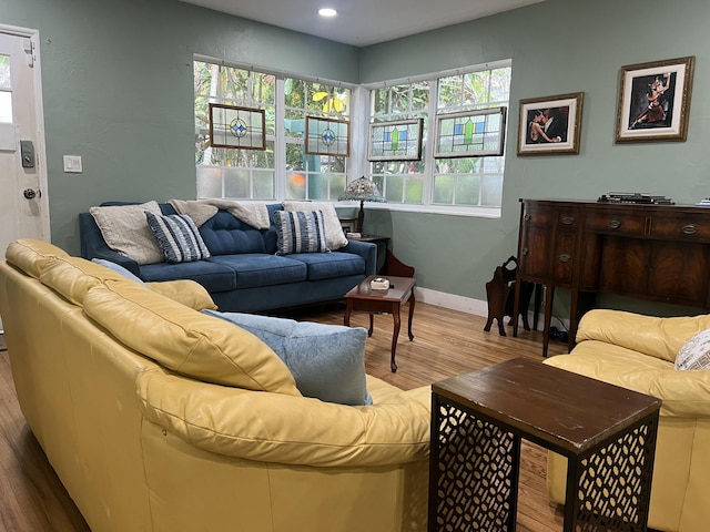 living room with wood-type flooring