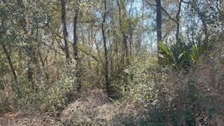 111 Hickory Cir, Interlachen FL, 32148 land for sale