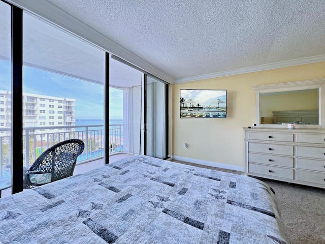 carpeted bedroom with multiple windows, ornamental molding, a textured ceiling, and access to exterior