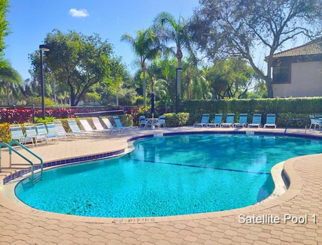 view of swimming pool featuring a patio area