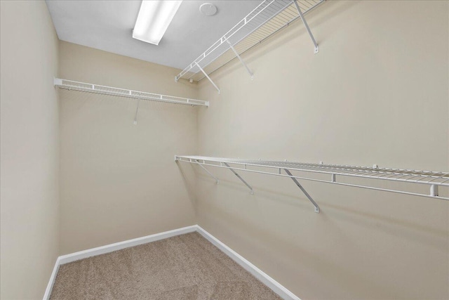 spacious closet with carpet floors