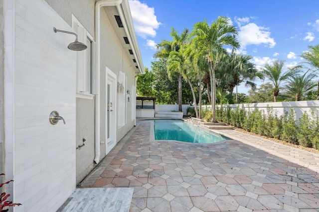 view of pool with a patio