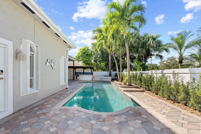 view of swimming pool with a patio area