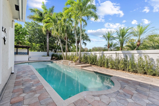 view of pool with a patio