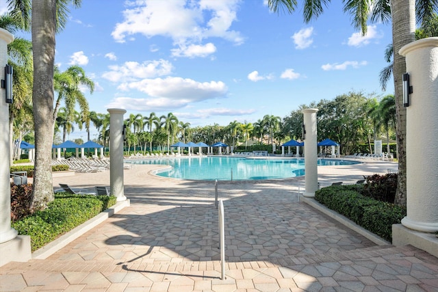 view of swimming pool with a patio area