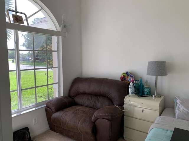 living room with carpet floors