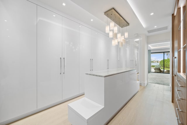 walk in closet featuring light wood-type flooring