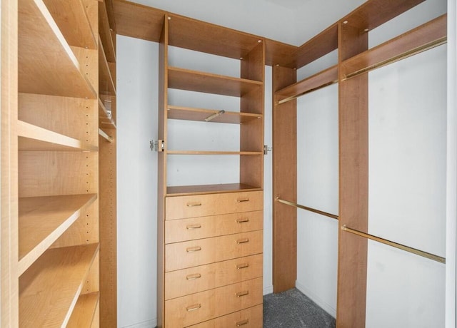 walk in closet with carpet