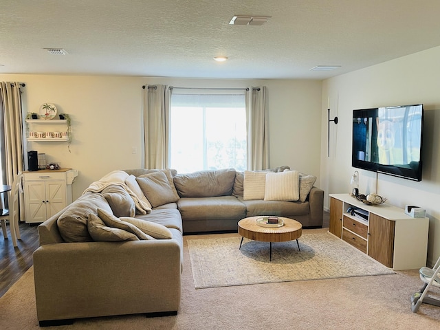 living room with hardwood / wood-style floors and a textured ceiling