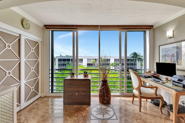 office space featuring a wall of windows, ornamental molding, and plenty of natural light