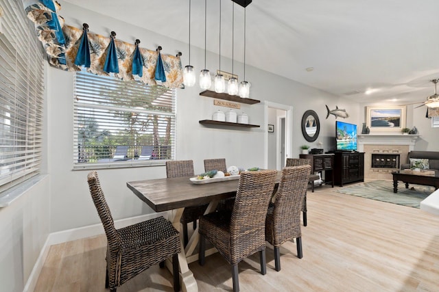 dining room featuring light hardwood / wood-style floors and ceiling fan