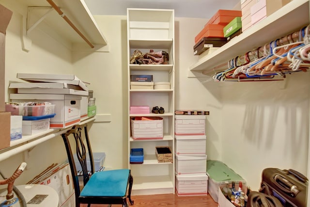 spacious closet with hardwood / wood-style flooring