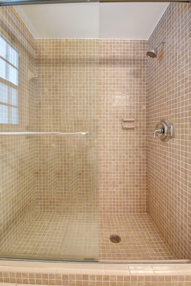 bathroom featuring walk in shower