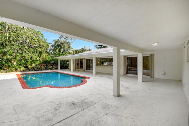 view of swimming pool featuring a patio area