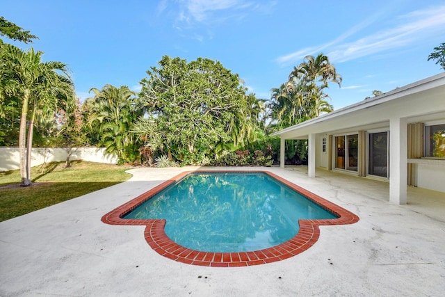 view of pool with a yard and a patio