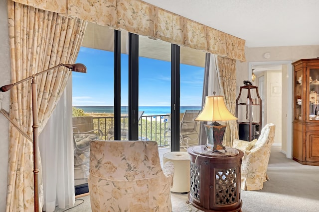 sitting room featuring a water view and light colored carpet