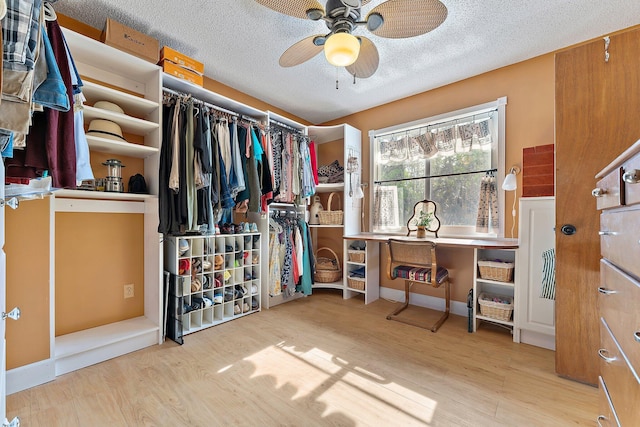 spacious closet with light hardwood / wood-style floors and ceiling fan