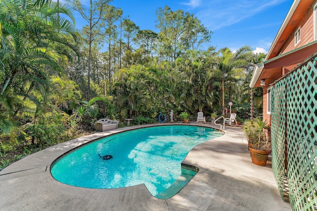 view of pool featuring a patio area