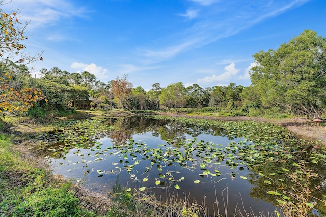 water view