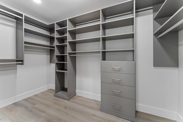 walk in closet with light wood-type flooring