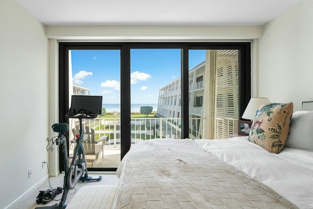 bedroom with multiple windows and light colored carpet