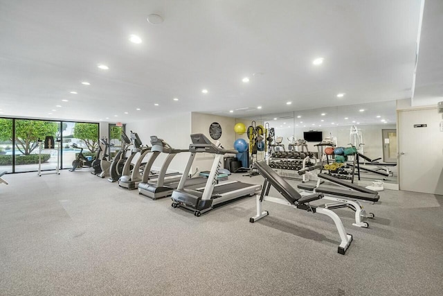 workout area with floor to ceiling windows