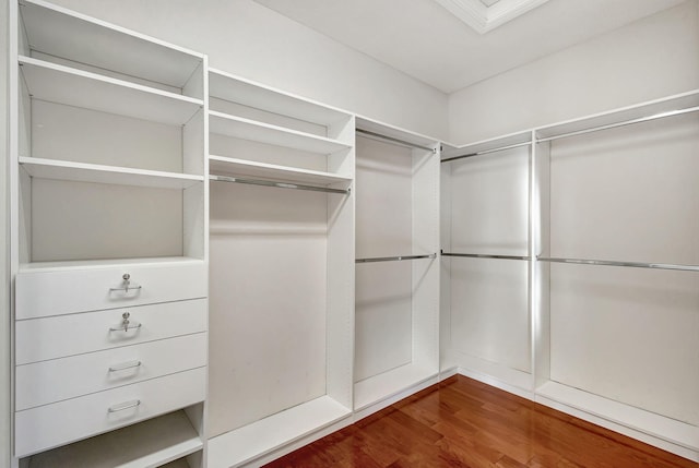 spacious closet featuring wood-type flooring