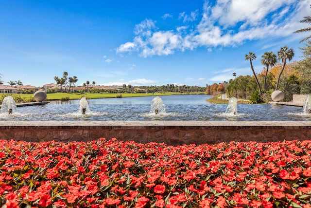 view of water feature