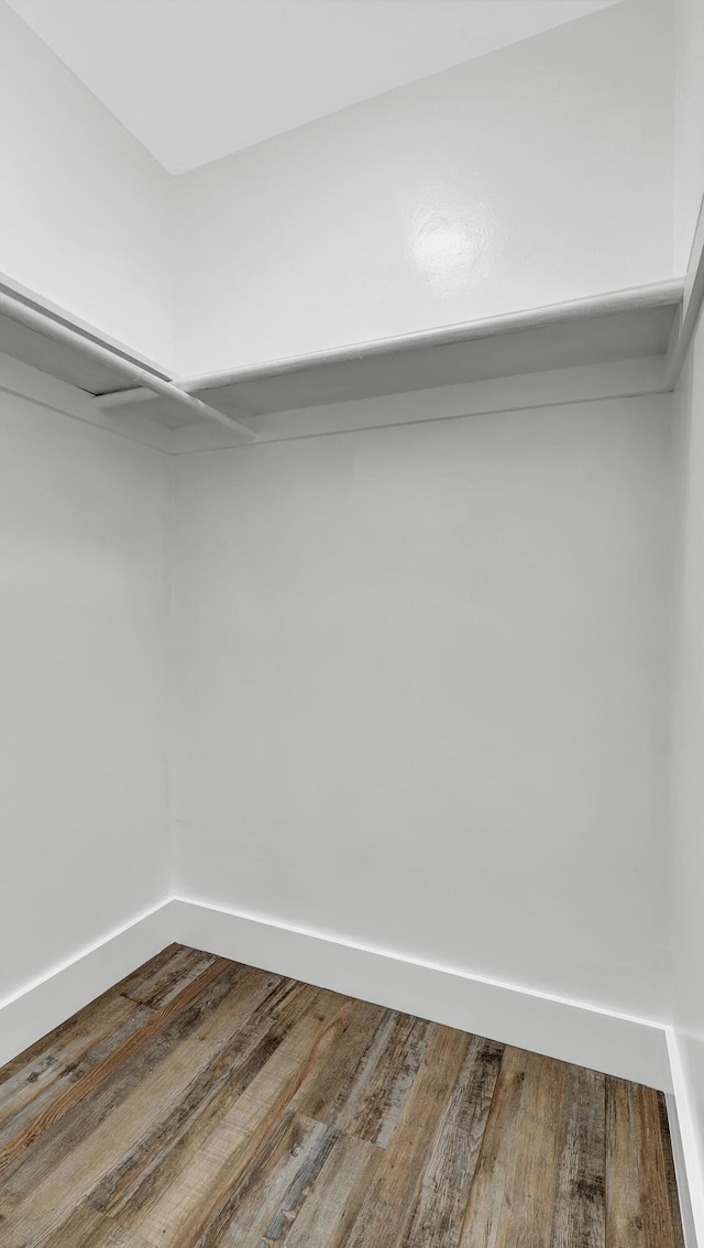 walk in closet with wood-type flooring