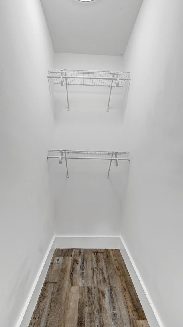 walk in closet featuring wood-type flooring