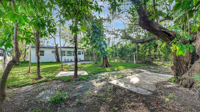 view of yard with a patio area