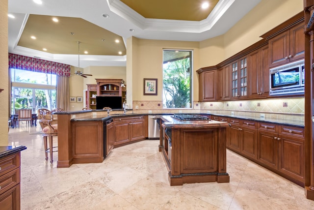 kitchen featuring a center island, ornamental molding, appliances with stainless steel finishes, and a tray ceiling