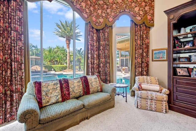 sitting room featuring carpet floors and a wealth of natural light