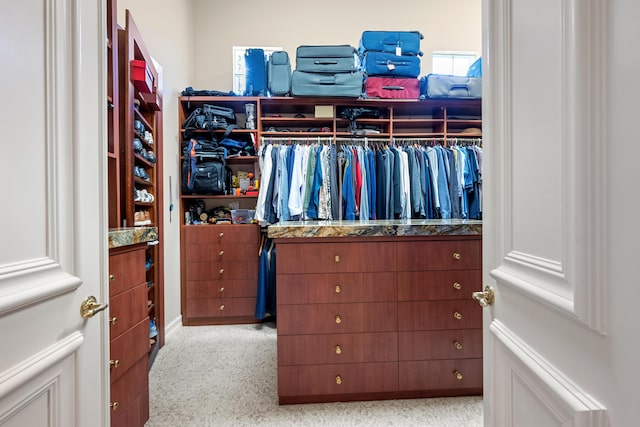 view of spacious closet