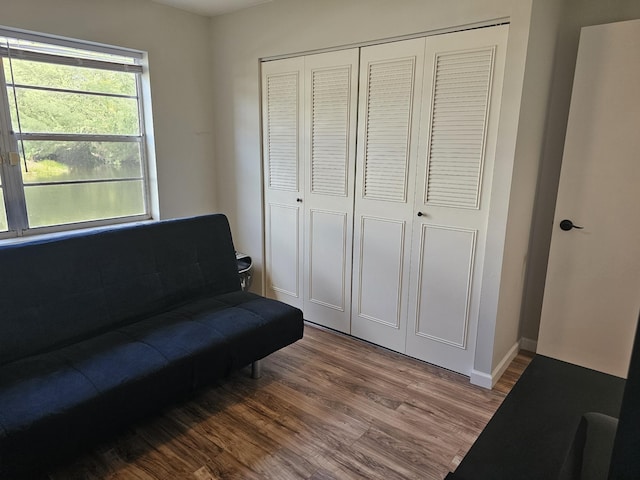 sitting room featuring hardwood / wood-style floors