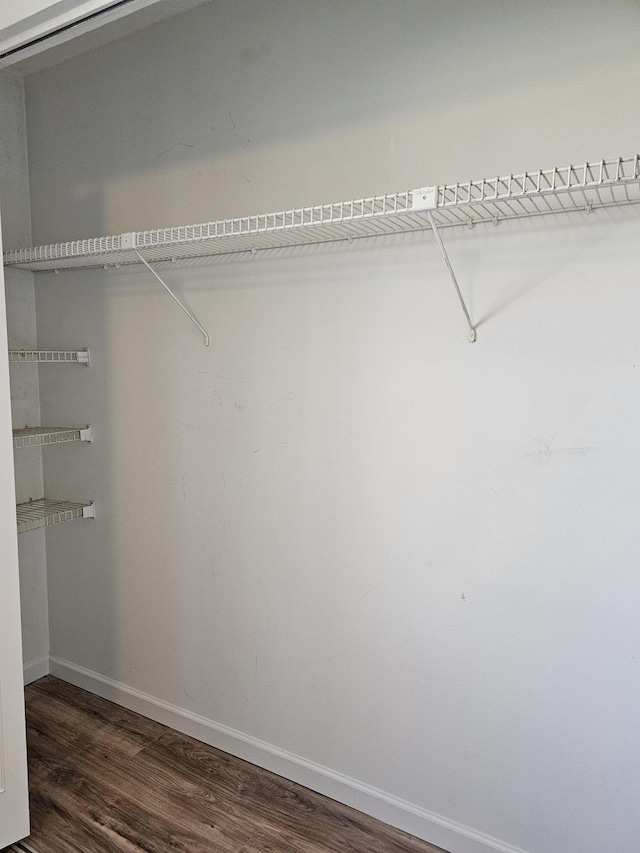 walk in closet featuring dark hardwood / wood-style flooring