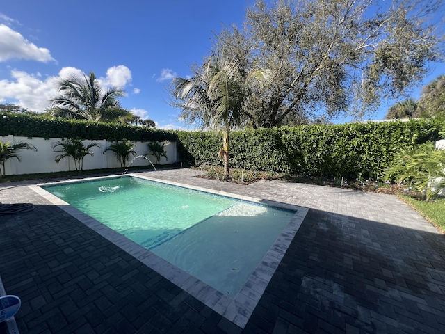 view of swimming pool featuring a patio area and a fenced backyard