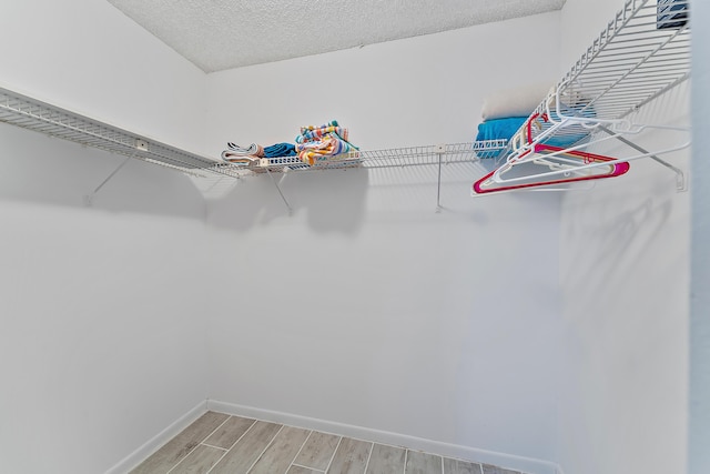 walk in closet featuring wood-type flooring