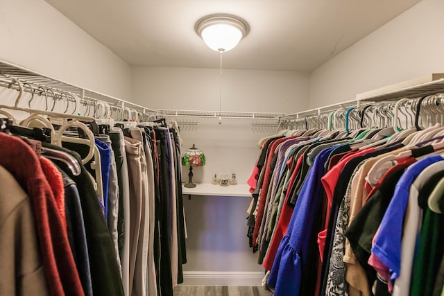 spacious closet with wood finished floors